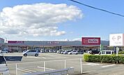 マックスバリュサンフラワー店 417m