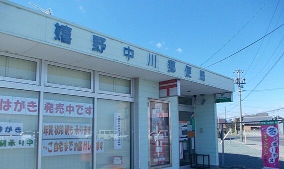 パイナス_周辺_5