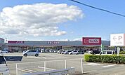 マックスバリュサンフラワー店 916m