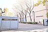 周辺：杉並区立荻窪小学校 徒歩8分。 600m