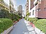 周辺：桃園川緑道 徒歩4分。 300m
