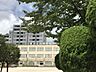 周辺：品川区立城南第二小学校 徒歩18分。 1440m