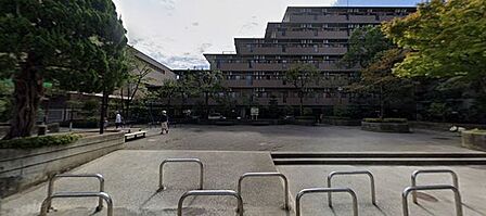 三本杉広場 徒歩1分。 150m