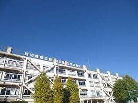 渋谷区立鉢山中学校 徒歩7分。 520m