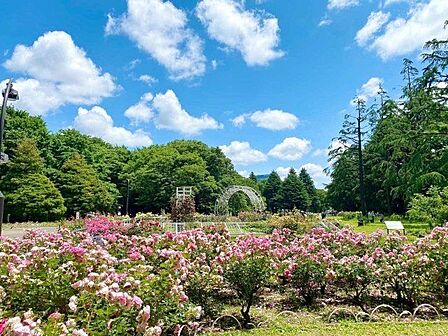 東京都立代々木公園 徒歩11分。 830m