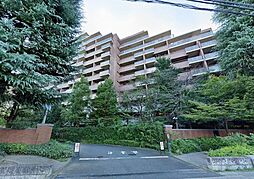 東京テラスＢ棟 304