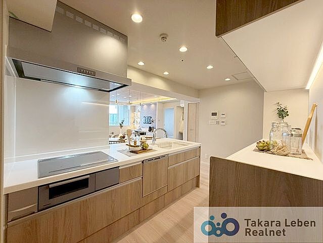 キッチン 晴海アイランドトリトンスクエアビュータワー 43階/4306