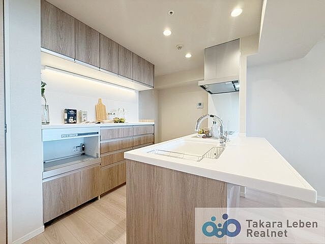 キッチン 晴海アイランドトリトンスクエアビュータワー 43階/4306