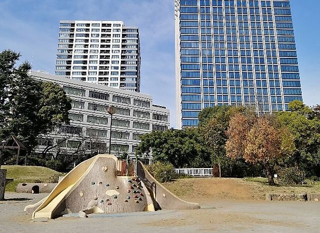 周辺 高田馬場ダイカンプラザ 11階/1114