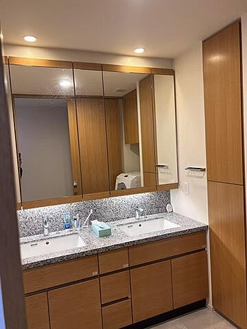 洗面 ブランズタワー芝浦 31階/-