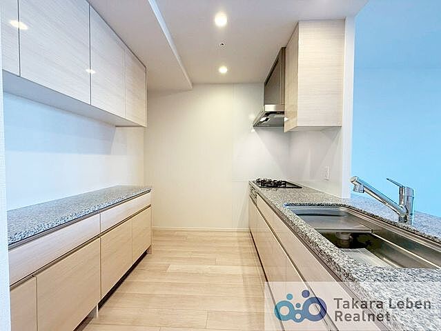 キッチン パークタワー晴海 14階/1409