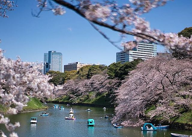 周辺 ルミナス一番町 4階/408