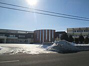 小学校「帯広市立豊成小学校まで1662m」