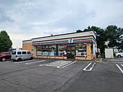 コンビニ「セブンイレブン帯広弥生通店まで295m」