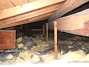 屋根裏も調査済です。