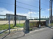 焼津市立焼津中学校（769m）