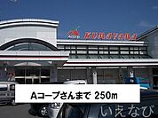 Ａコープ 250m
