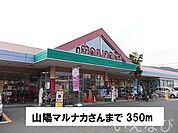 山陽マルナカ 350m