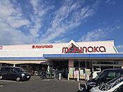 マルナカ 650m