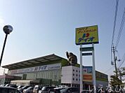 ディオ岡山西店 602m