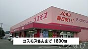 コスモス 1800m