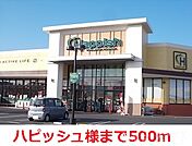 ハピッシュ 500m