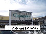 ハピッシュ 1000m