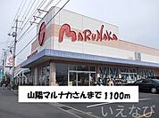 山陽マルナカ 1100m