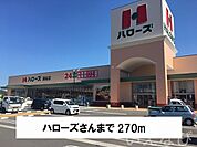 ハローズ 270m