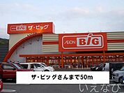 ザ・ビッグ 50m