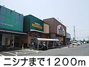 ニシナ 1200m