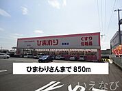 ひまわり 850m