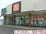 くすりのポニー 90m