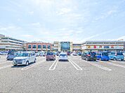 ワッツ朝倉フレッセイモール店 431m