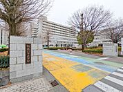 群馬大学医学部附属病院 2251m