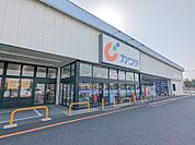 カワチ薬品高崎駅東店 463m