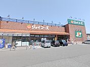 ジョイフーズ高崎西店 1036m