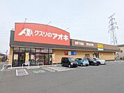 クスリのアオキ前橋下大島店 499m