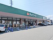 ジョイフーズ高崎上佐野店 429m