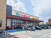 スギドラッグ上並榎店 407m