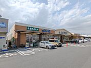 JAファーマーズ高崎棟高店 230m