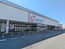 周辺：カワチ薬品前橋南店 531m