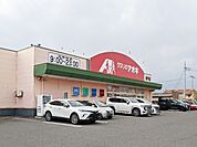 クスリのアオキ南千木店 589m