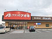 クスリのアオキ東小保方店 1318m