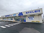 マルエドラッグ高崎箕郷店 867m