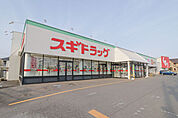 スギ薬局 伊勢崎店 753m