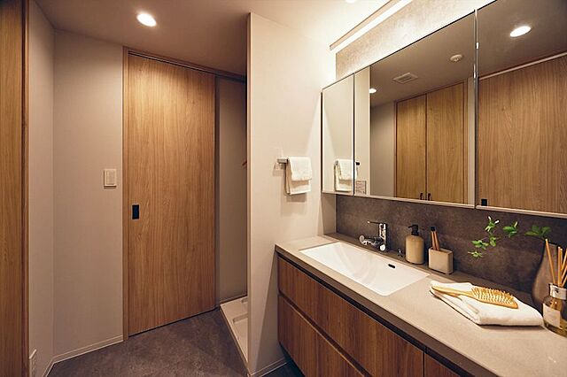 洗面 ルイシャトレ室町 9階/-