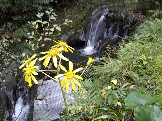その他 宮崎市田野町乙