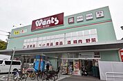 ドラックストア「ウォンツ舟入町店まで201ｍ」