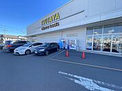 その他環境写真 1300m TSUTAYA宇都宮南店